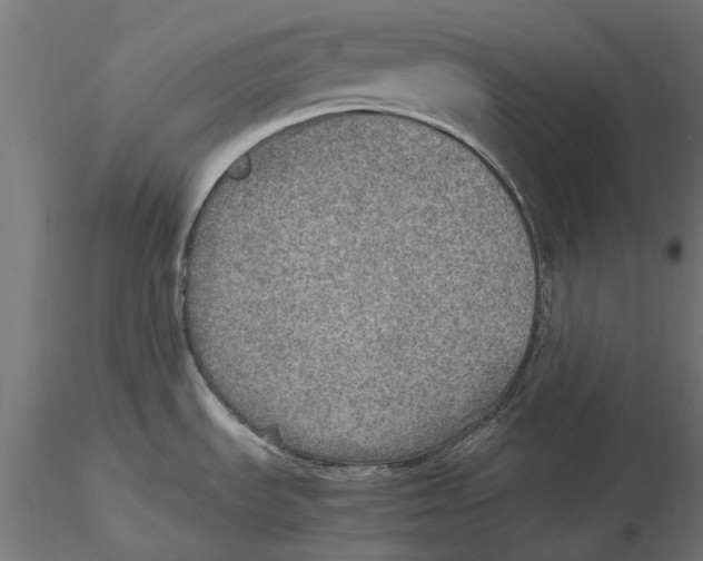 X0000115581535200912081014