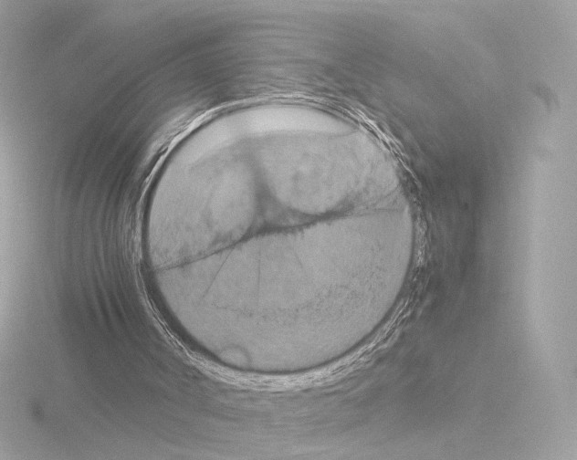 X0000115580002200912221058