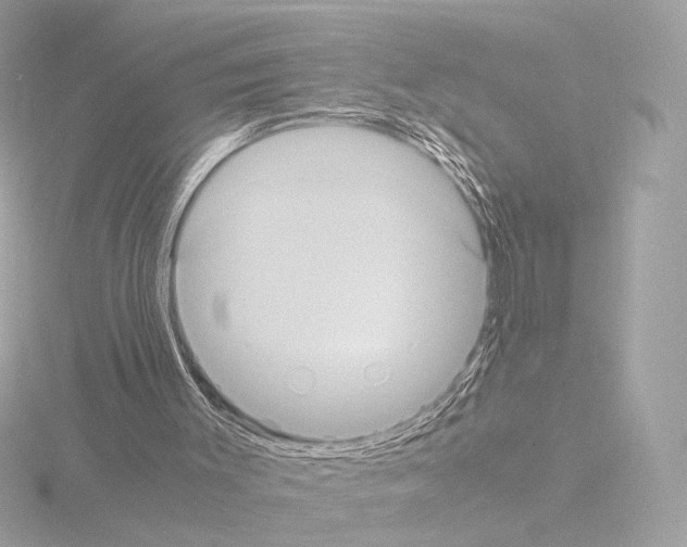 X0000115580003200912221058