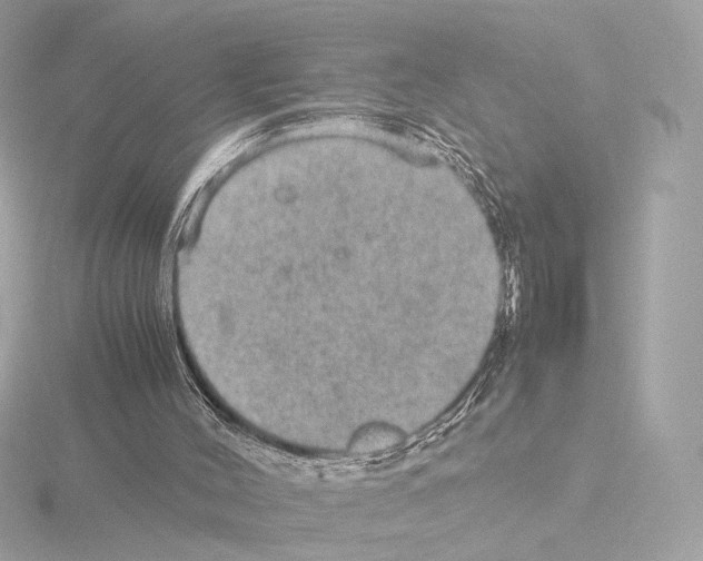 X0000115580004200912221058