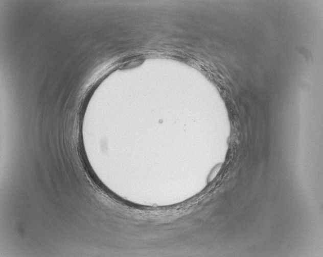 X0000115580005200912221058