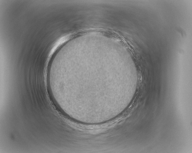 X0000115580006200912221058