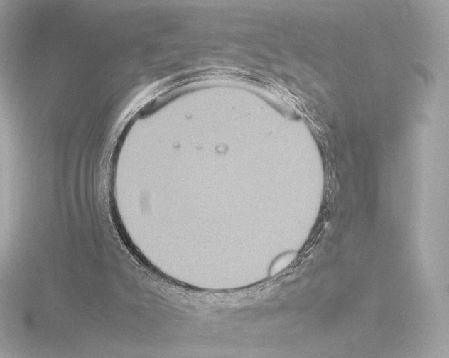 X0000115580007200912221058