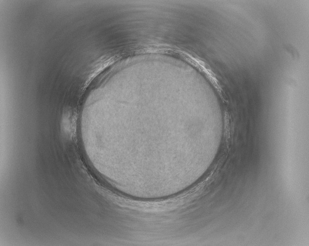 X0000115580010200912221058