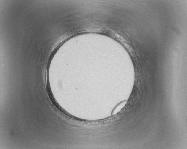 X0000115580011200912221058