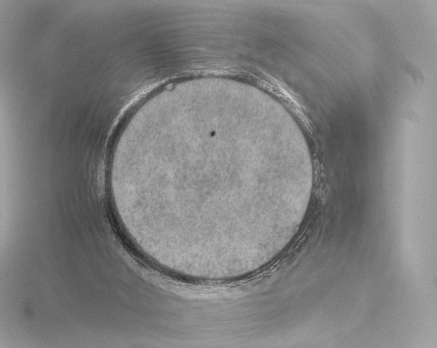 X0000115580012200912221058