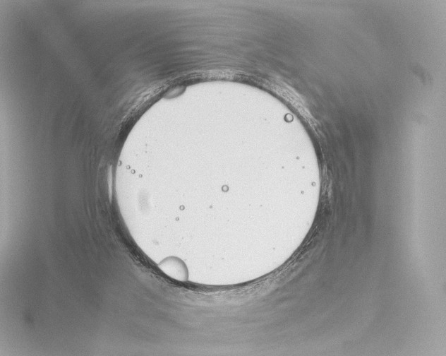 X0000115580013200912221058