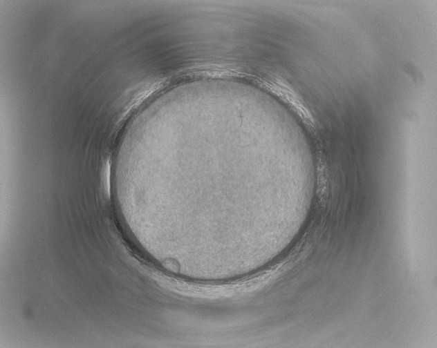 X0000115580014200912221058