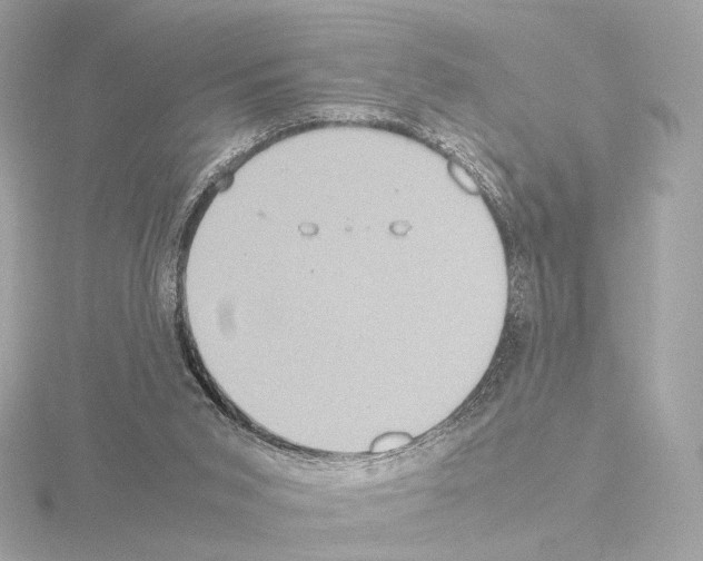 X0000115580015200912221058