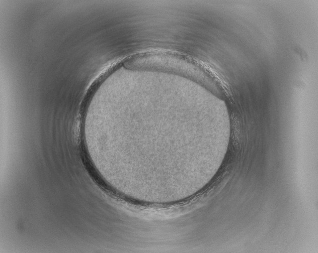 X0000115580016200912221058