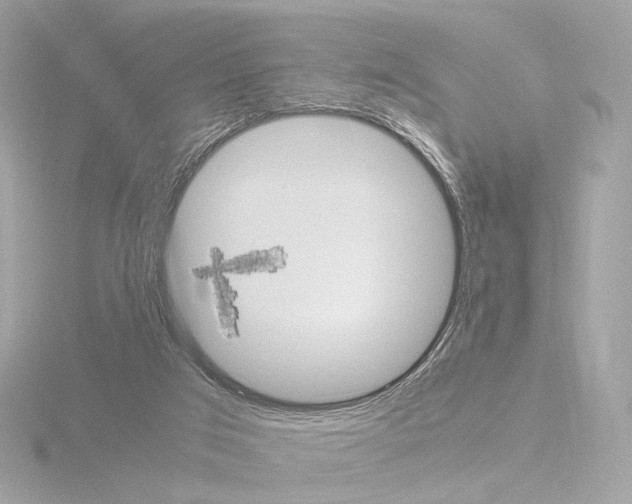 X0000115580017200912221058