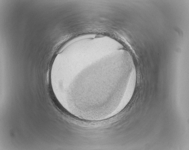 X0000115580019200912221058