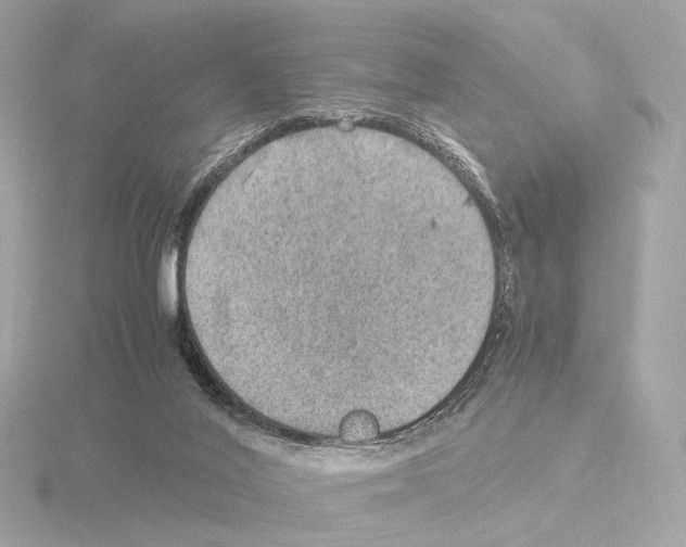 X0000115580020200912221058