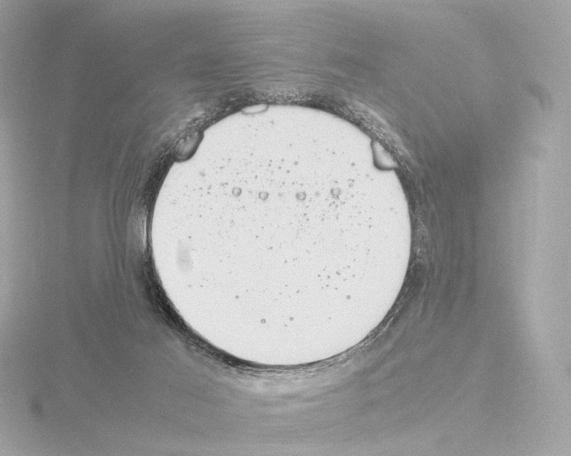 X0000115580021200912221058