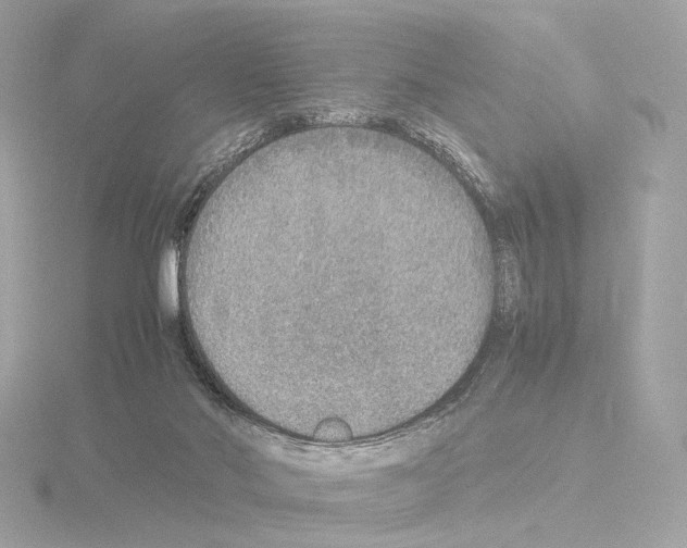 X0000115580022200912221058