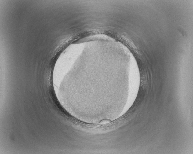 X0000115580023200912221058