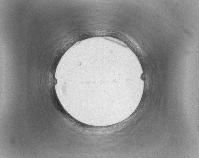 X0000115580025200912221057