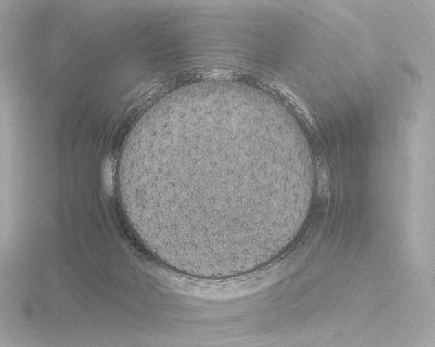 X0000115580026200912221057