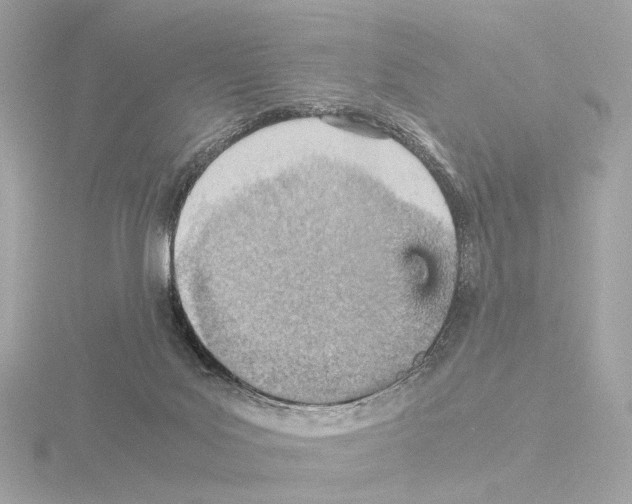 X0000115580027200912221057