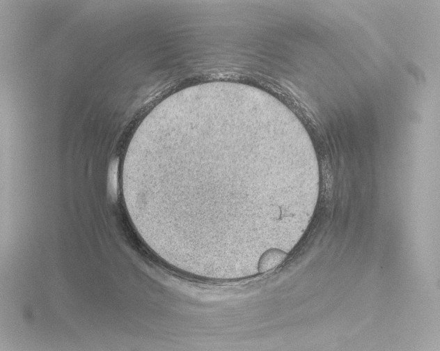 X0000115580028200912221057