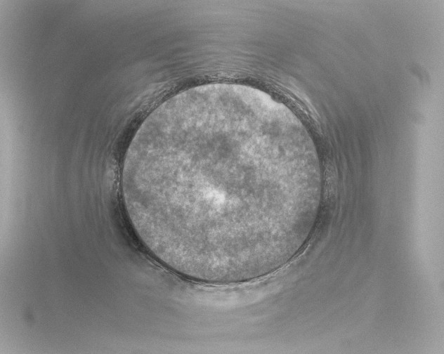 X0000115580029200912221057