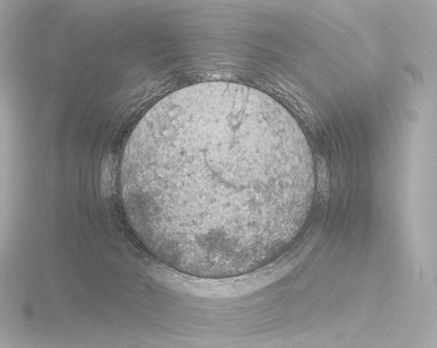 X0000115580030200912221057