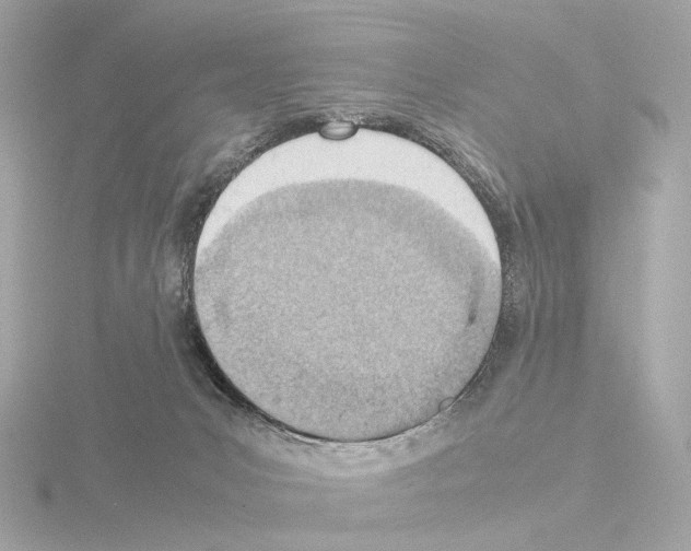 X0000115580031200912221057