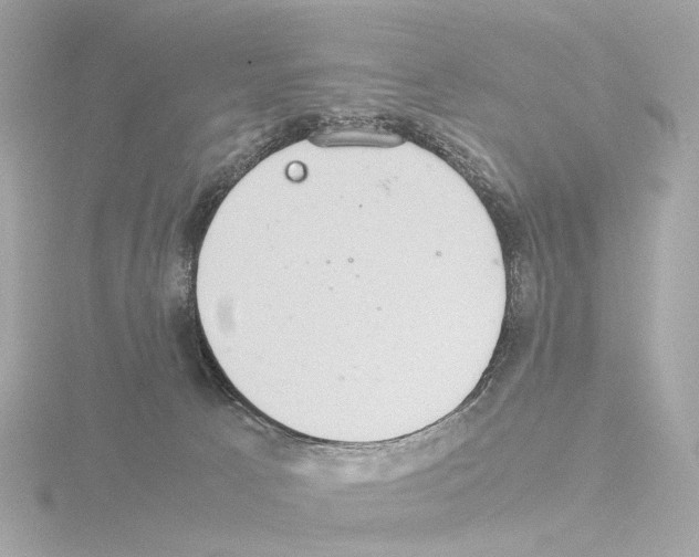 X0000115580033200912221057