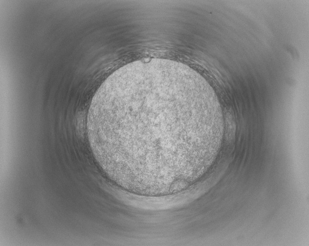 X0000115580034200912221057