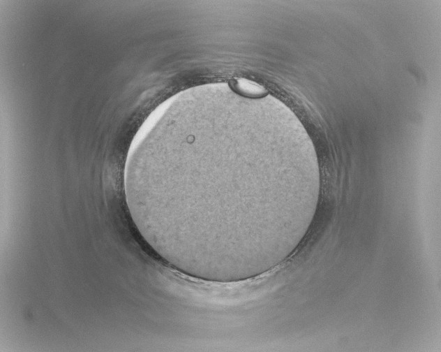 X0000115580035200912221057