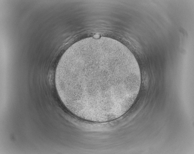 X0000115580036200912221057