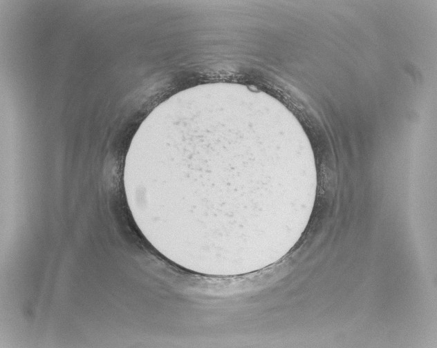 X0000115580037200912221057