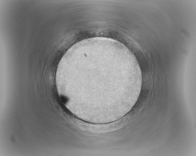 X0000115580039200912221057