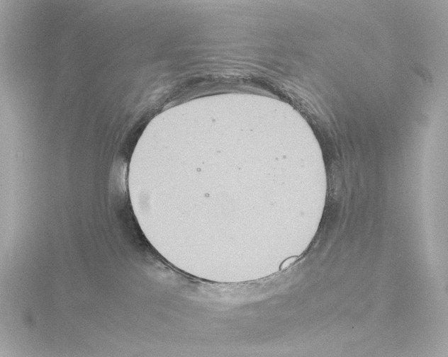 X0000115580041200912221057