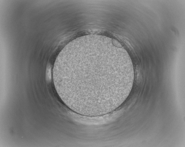 X0000115580042200912221057