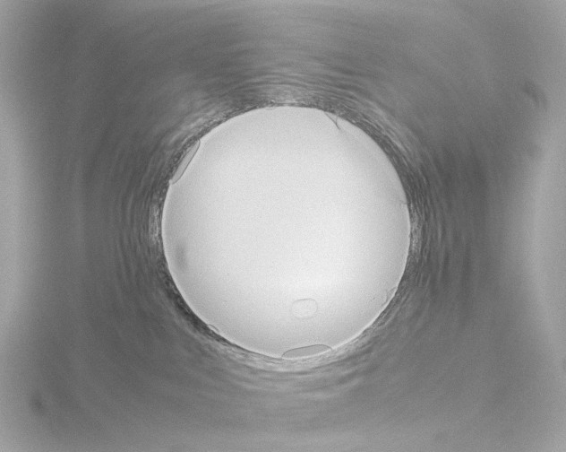 X0000115580043200912221057