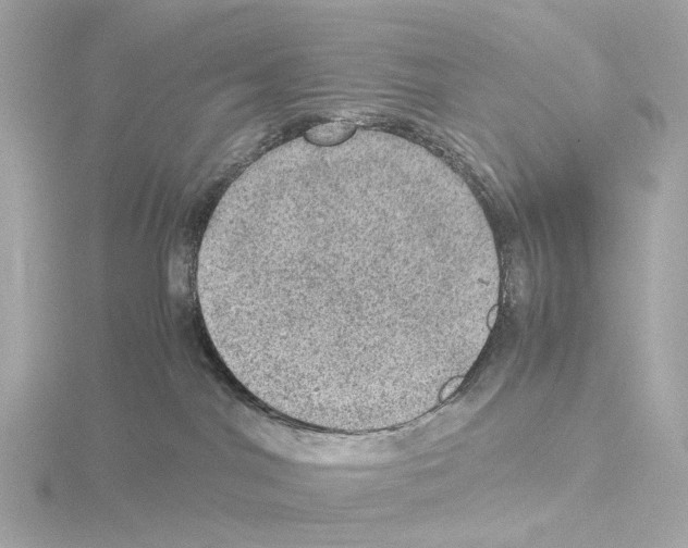 X0000115580044200912221057