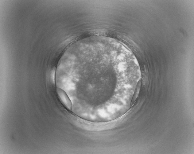 X0000115580047200912221057