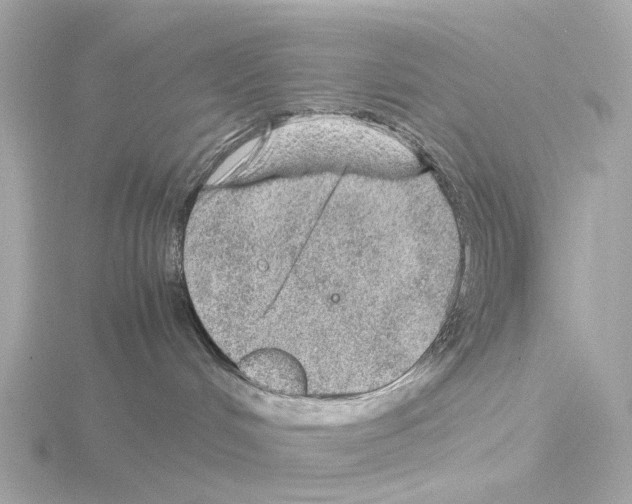 X0000115580048200912221057