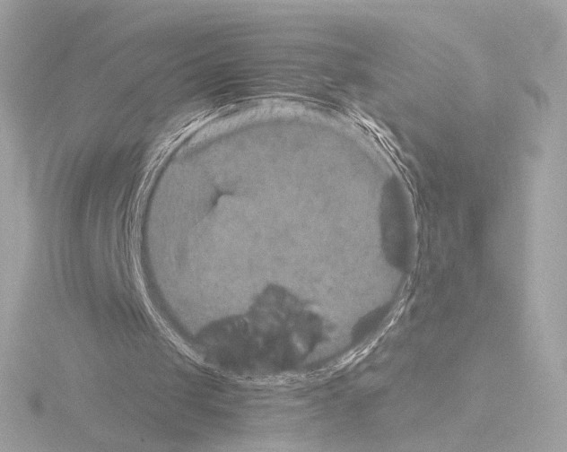 X0000115580049200912221057