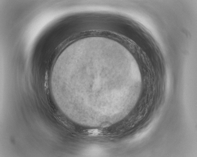 X0000115580050200912221057