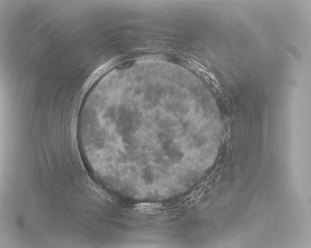 X0000115580051200912221057