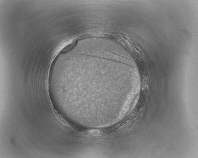 X0000115580052200912221057