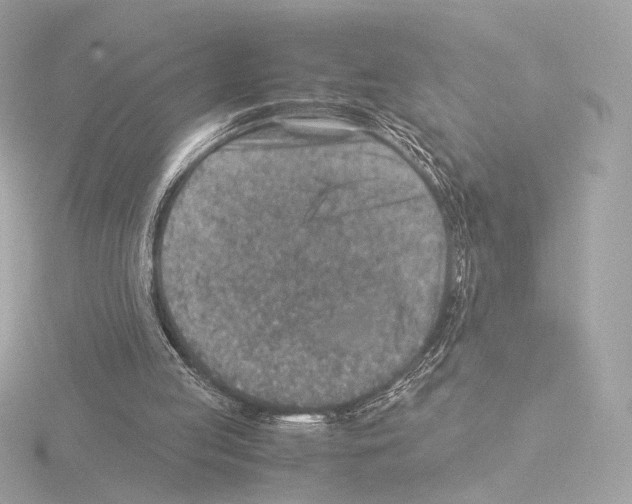 X0000115580053200912221057