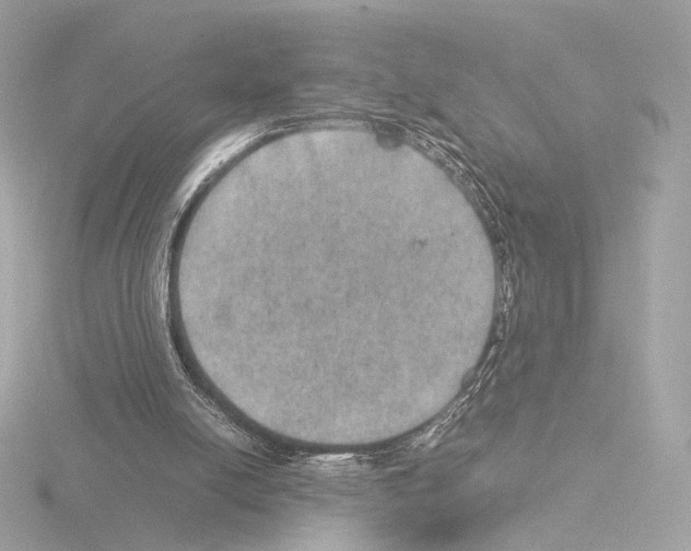 X0000115580054200912221057