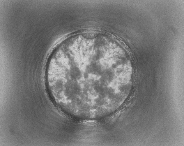 X0000115580055200912221057