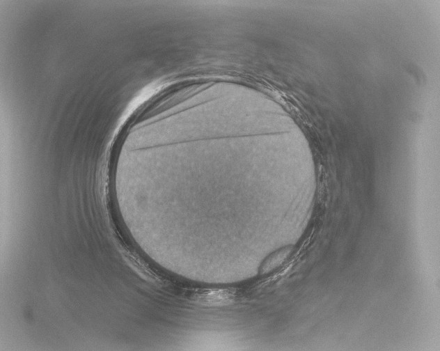 X0000115580056200912221057