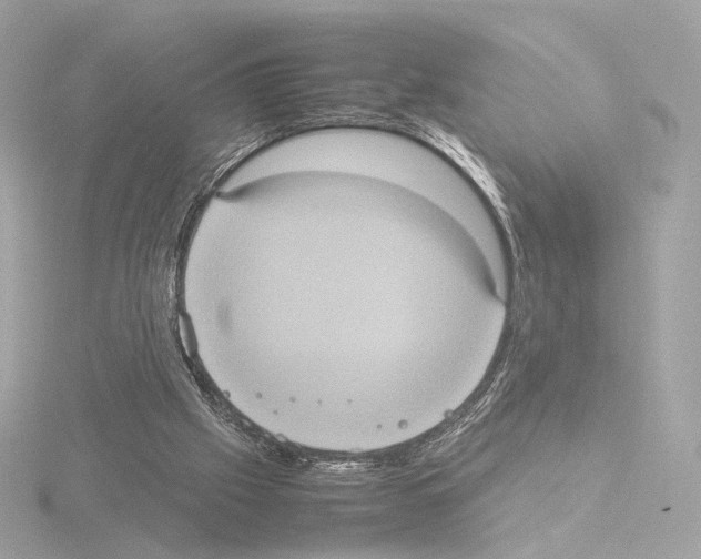 X0000115580057200912221057