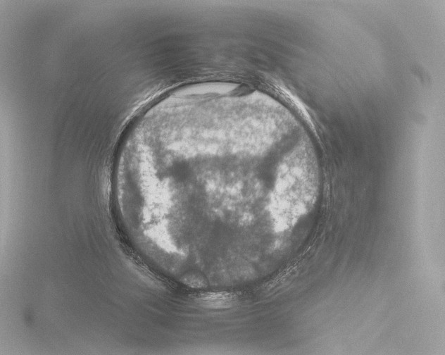 X0000115580059200912221057