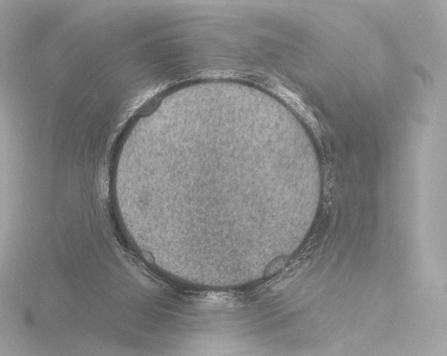 X0000115580060200912221057